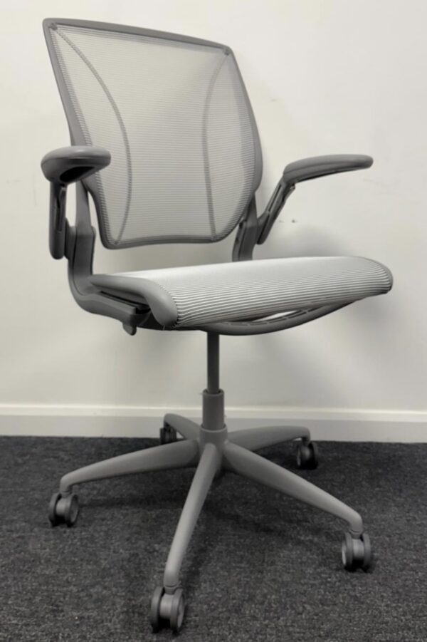 Used Humanscale Diffrient World Mesh Task Chair Silver