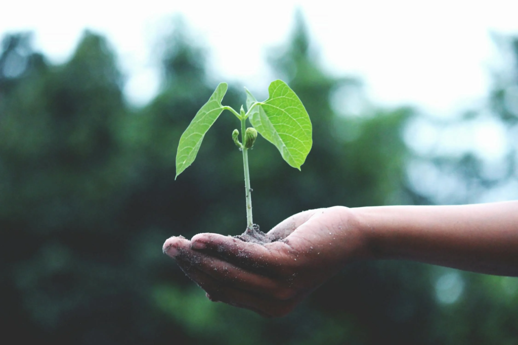 Environmental Responsibility 