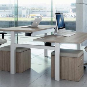 Sit Stand Desk Elite 1600 x 800 Back to Back Autumn Cherry on White Frame
