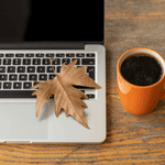 Autumn workspace with laptop and seasonal accents
